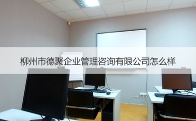 柳州市德聚企业管理咨询公司 专业的二手车经纪与信息咨询服务商